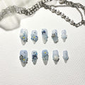 Myosotis