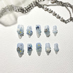 Myosotis