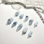 Myosotis