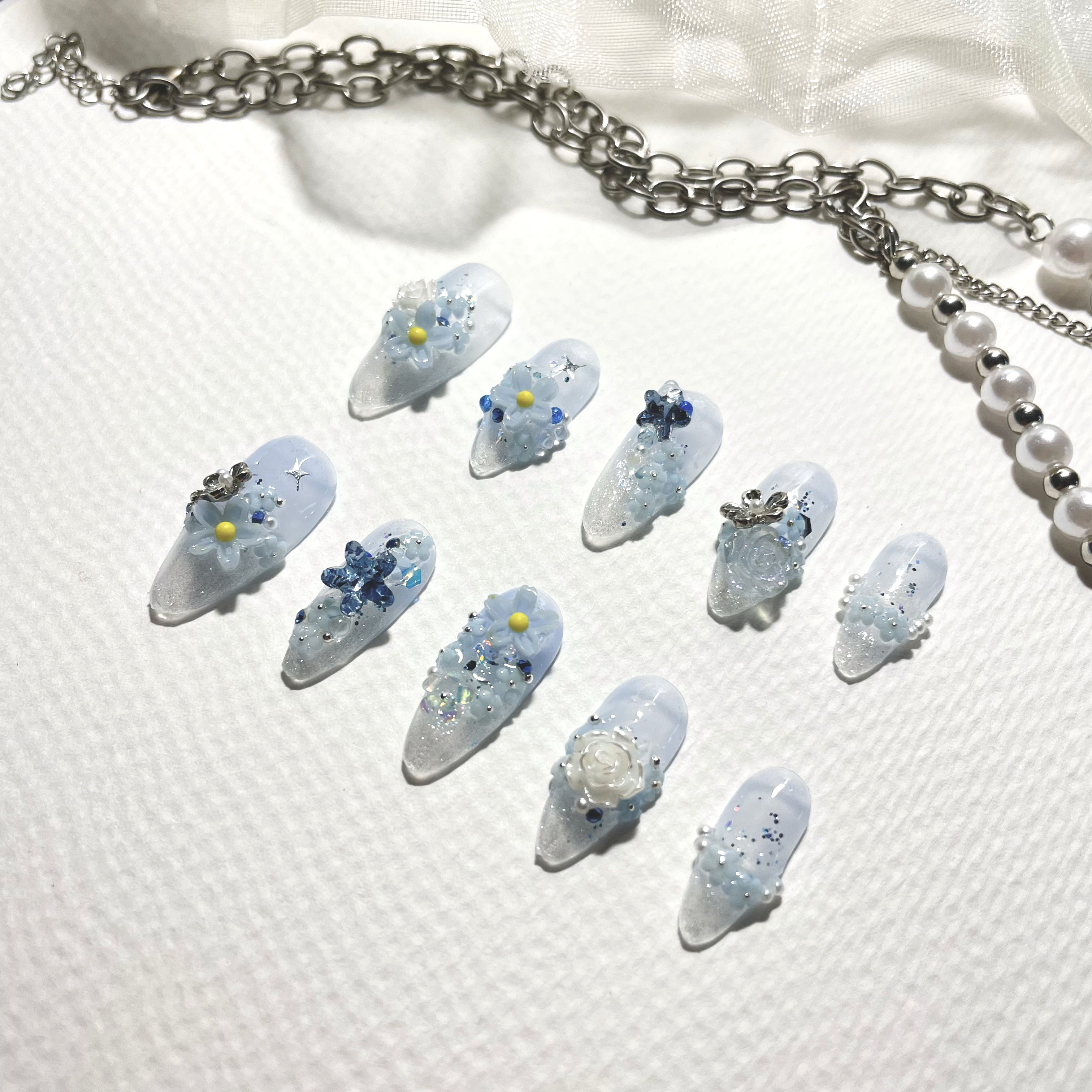 Myosotis
